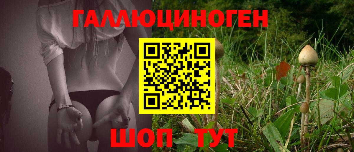 Корсаков  Псилоцибиновые грибы мицелий  Вход с VPN 