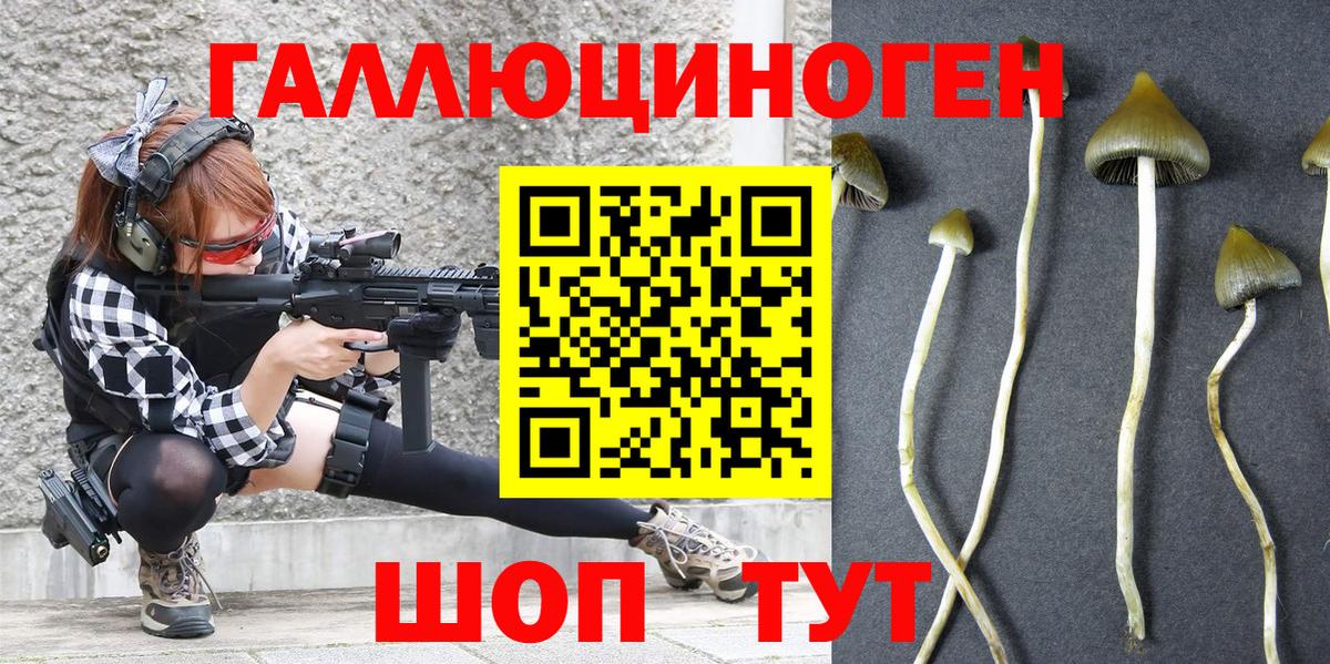 Галлюциногенные грибы мухоморы Корсаков
